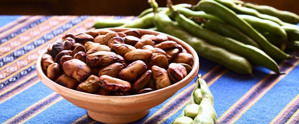 fava beans / parkinson / g6pd / vegan