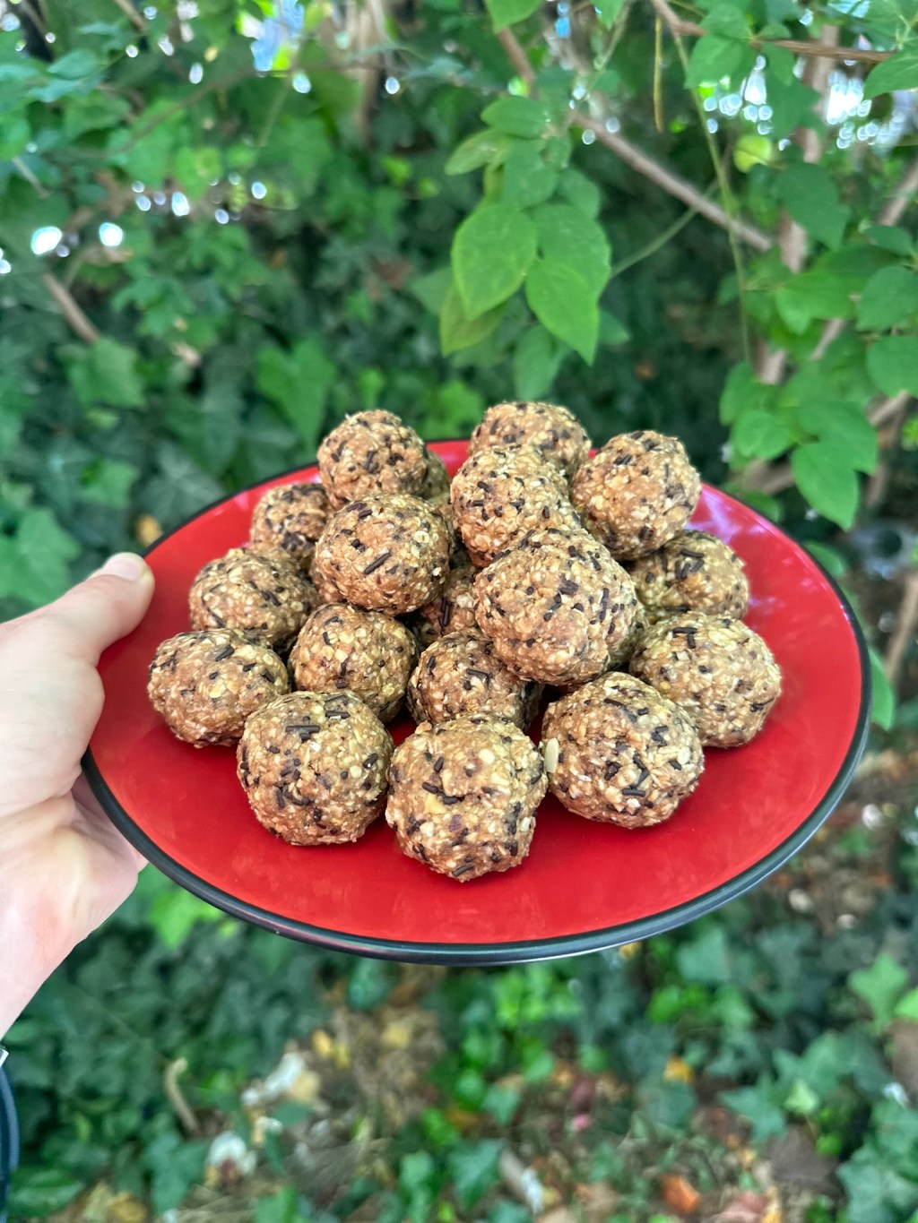 Energy Balls «Μελομακάρονα»